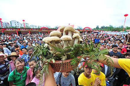 L_1517383396759570275