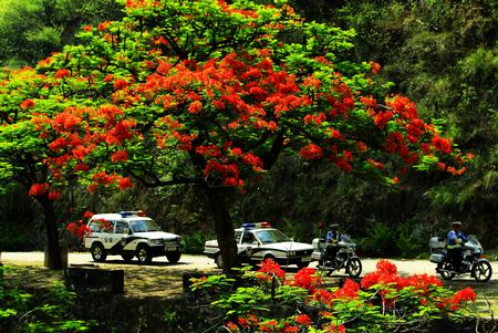 L_1517367567160416990