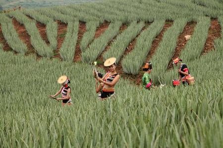 L_1517291990325851020