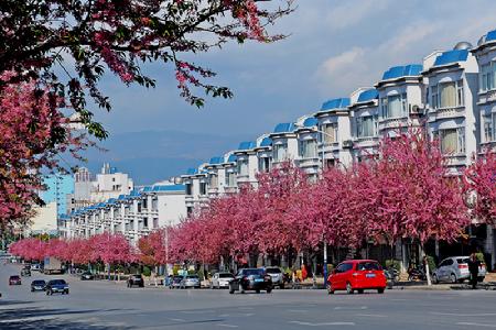 1517596153354056391.jpg 001.jpg