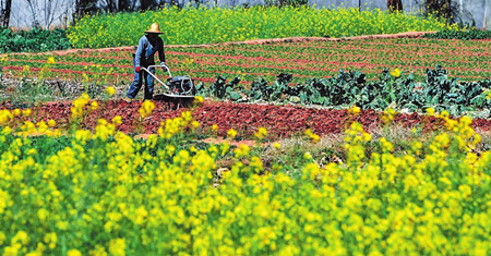 36_副本.jpg 36_副本.jpg