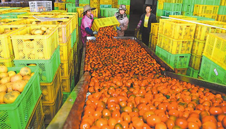 5_副本.jpg 5_副本.jpg