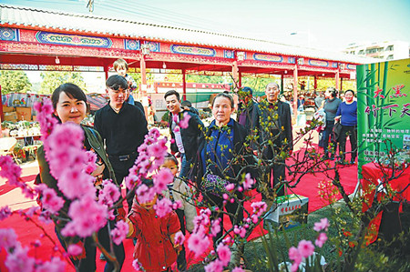 8_副本.jpg 8_副本.jpg