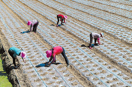 5_副本.jpg 5_副本.jpg