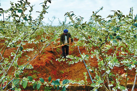 23_副本.jpg 23_副本.jpg