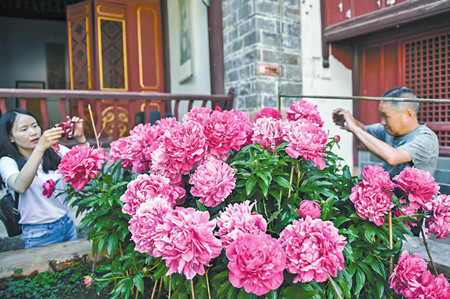 18_副本.jpg 18_副本.jpg