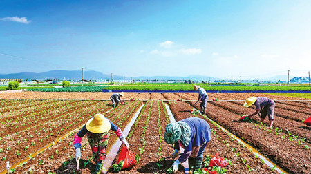 5_副本.jpg 5_副本.jpg