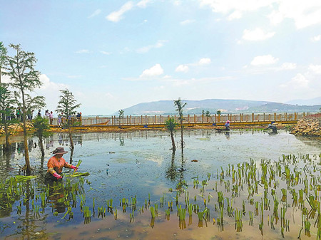 6_副本.jpg 6_副本.jpg