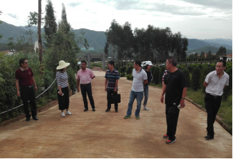 图片1.png 图片1.png