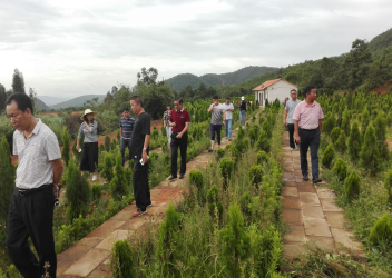 图片2.png 图片2.png