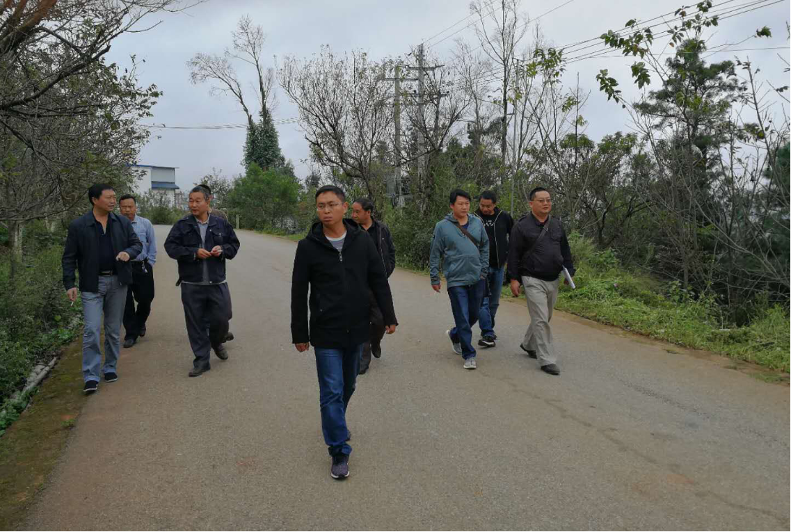 强化检查考核，保障农村公路畅通.png