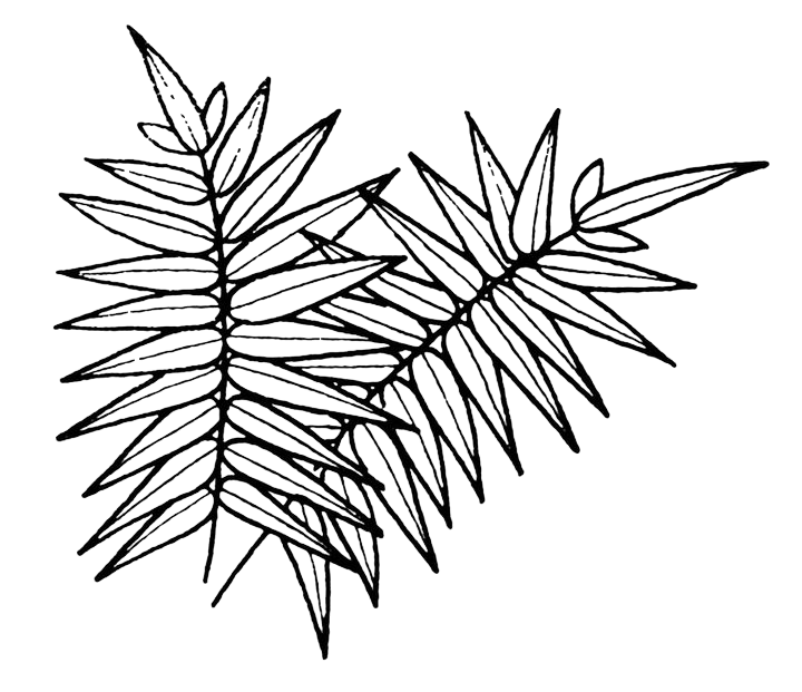 0160680326.png