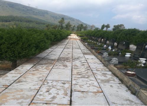 公墓.jpg 公墓.jpg