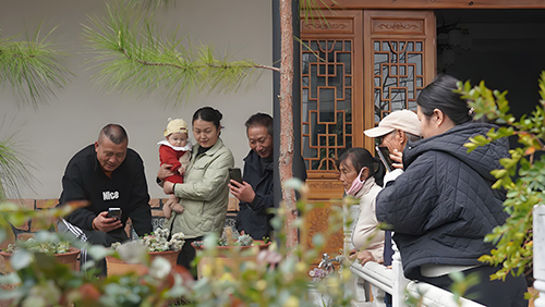 小院惊现“英文蜘蛛”可以观赏请勿触碰.jpg