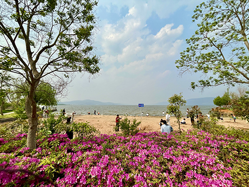 悠游玉溪 踏春寻芳.jpg
