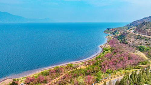 抚仙湖畔春光美.jpg