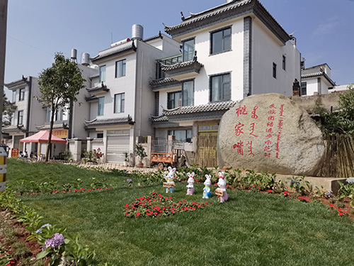 桃家嘴村：党建引领聚合力 人居环境展新颜.jpg