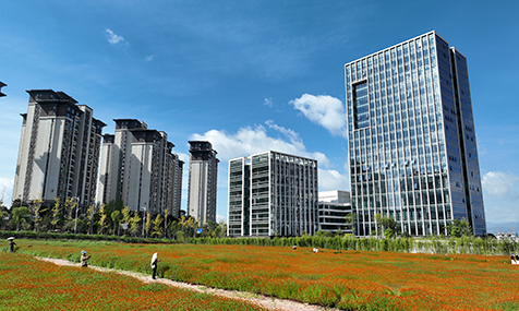 美丽花海引客来