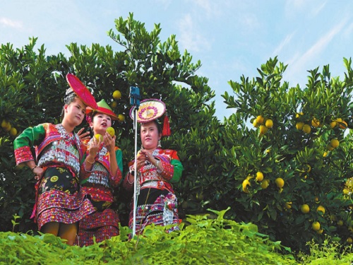 500花腰傣果园直播带货.jpg 500花腰傣果园直播带货.jpg