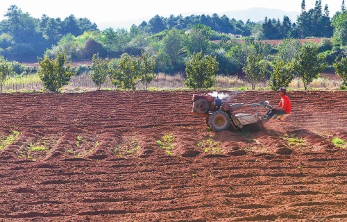 秋冬农业开发促增收.jpg 秋冬农业开发促增收.jpg