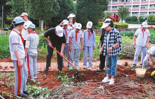 澄江市凤山小学丰收节活动丰富多彩.jpg 澄江市凤山小学丰收节活动丰富多彩.jpg