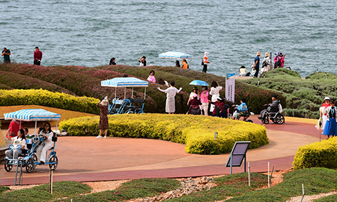 温润玉溪何以成为安顿身心的旅居福地