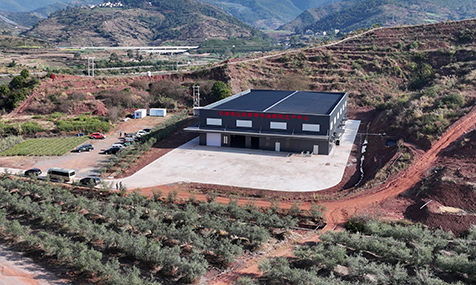 峨山油橄榄：鲜果榨出“金”效益