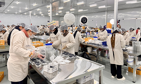 澄江设施农业蹚出高原特色农业发展新路子