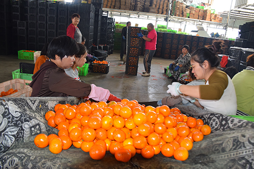 2025玉溪社会民生新闻回顾