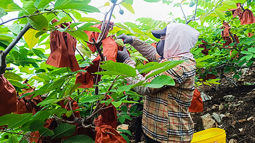冬日好“丰”景.jpg 冬日好“丰”景.jpg