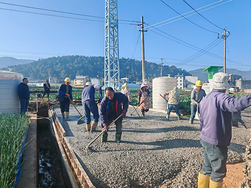 九龙街道:以工代赈稳就业惠民生.jpg 九龙街道:以工代赈稳就业惠民生.jpg