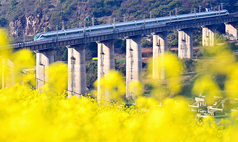 列车飞驰赴春约