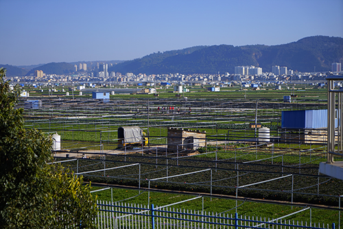 治杞麓湖生态难题 谋民生幸福之策3.jpg
