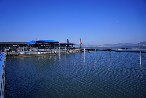 治杞麓湖生态难题 谋民生幸福之策4.jpg