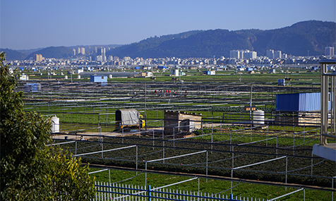 治杞麓湖生态难题 谋民生幸福之策