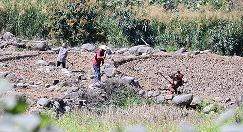 春耕备耕忙不负好时光.jpg 春耕备耕忙不负好时光.jpg