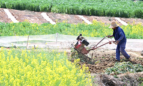 春耕备耕忙不负好时光