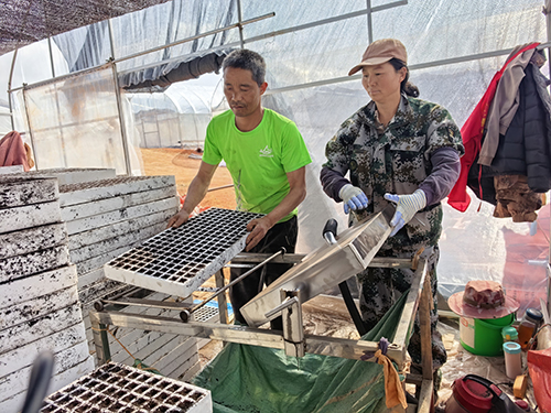 烤烟育苗工作全面启动.jpg 烤烟育苗工作全面启动.jpg