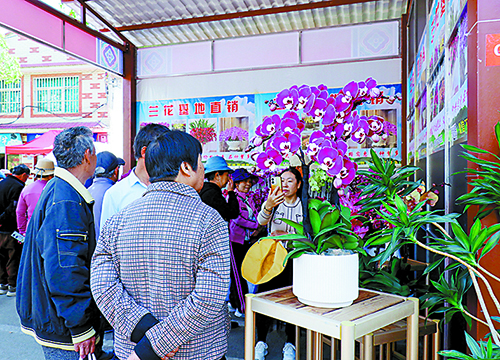 通海县第十九届迎春花街热闹开街1.jpg 通海县第十九届迎春花街热闹开街1.jpg