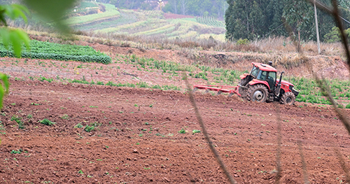 全市各地春耕备耕掀热潮.jpg 全市各地春耕备耕掀热潮.jpg