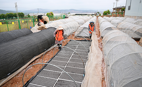 全市各地春耕备耕掀热潮