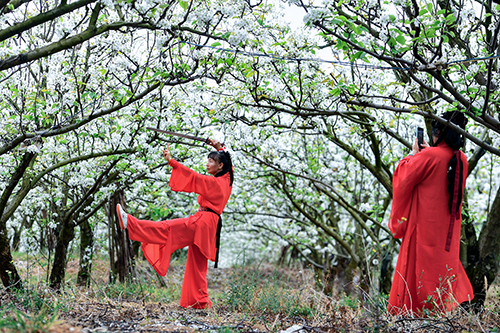 江川梨花节激活乡村旅游新活力