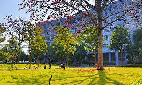 元江：让旅居客安身安心安业