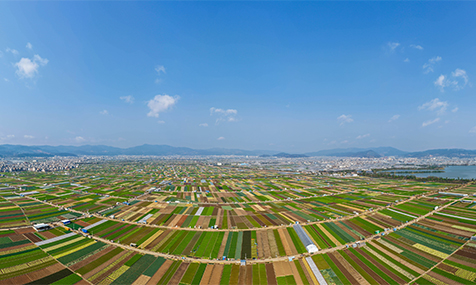 沃野育新机春耕生产忙