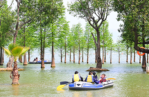 醉美星云湖水上享春光.jpg 醉美星云湖水上享春光.jpg