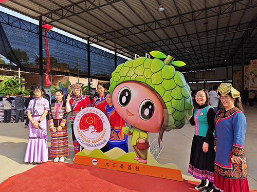 “三跑坡”种出“甜蜜果”1.jpg “三跑坡”种出“甜蜜果”1.jpg