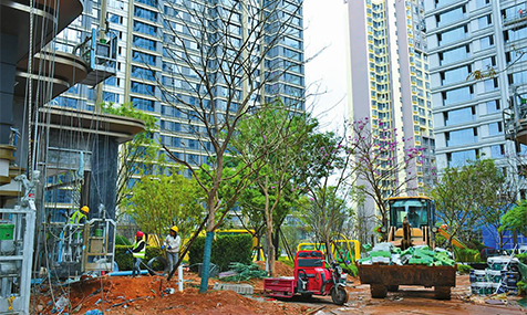 项目建设热潮涌动