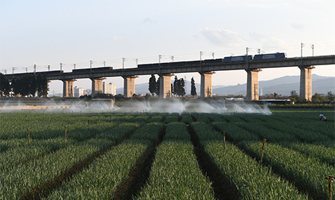 中老铁路货运忙