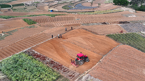清明时节农事忙.jpg 清明时节农事忙.jpg