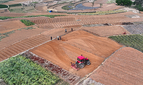 清明时节农事忙